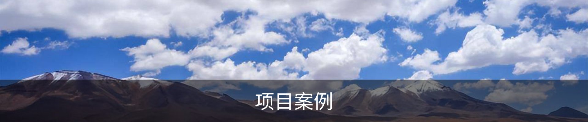 项目案例
